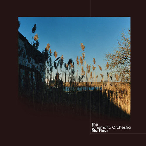 The Cinematic Orchestra- Ma Fleur [ VINYL LP ]