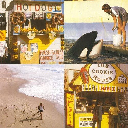 Best Coast- Something in the Way [ VINYL LP ]