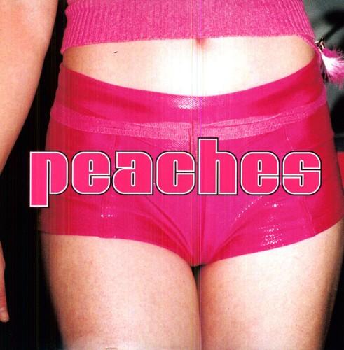Peaches- The Teaches Of Peaches [ VINYL LP ]