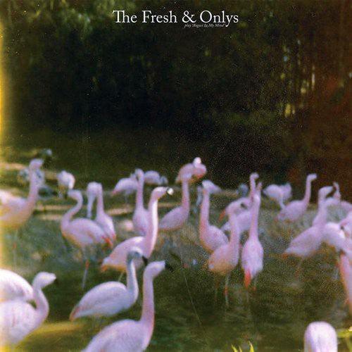 The Fresh & Onlys- August in My Mind [ VINYL LP ]