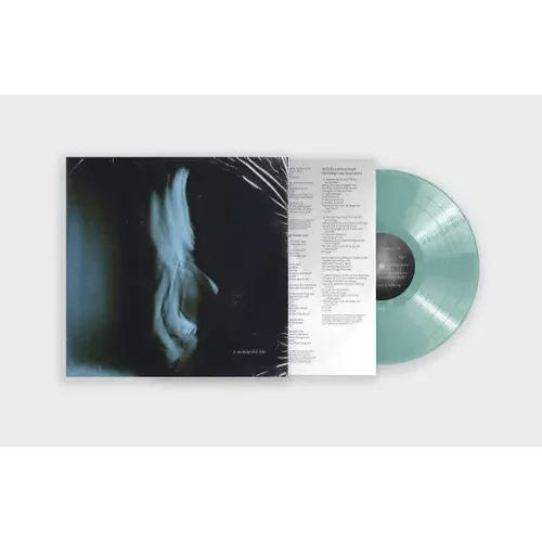Tom Odell- A Wonderful Life (Indie Exclusive Vinyl) [ VINYL LP ]