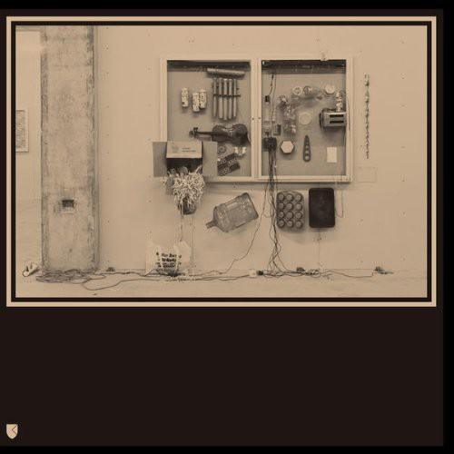 David Van Tieghem- Fits & Starts [ VINYL LP ]