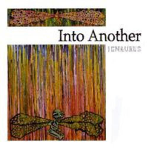 Into Another- Ignaurus [ VINYL LP ]