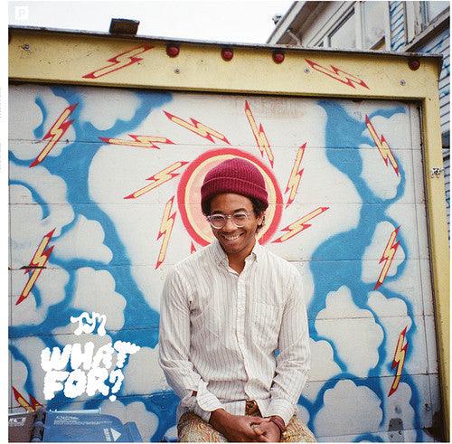 Toro y Moi- What for [ VINYL LP ]