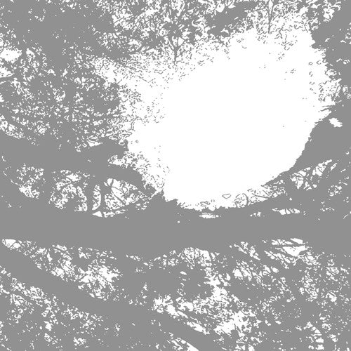 Comets on Fire- Field Recordings from the Sun [ VINYL LP ]