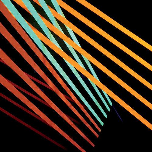 Shit Robot- What Follows [ VINYL LP ]