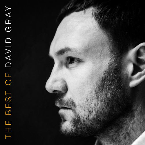 David Gray- The Best Of David Gray [Vinyl] [ VINYL LP ]