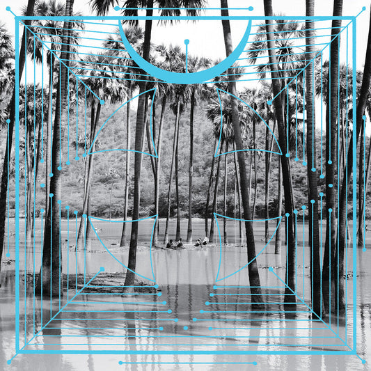Four Tet- Pink [Vinyl] [ VINYL LP ]