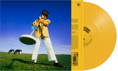 Declan McKenna- What Happened To The Beach? (Indie Exclusive Vinyl) [ VINYL LP ]