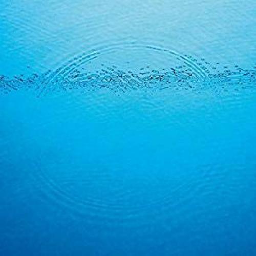 Caribou- Suddenly [ VINYL LP ]