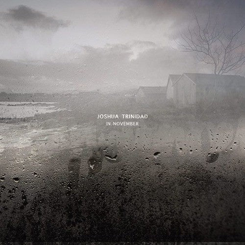 Joshua Trinidad- In November [180 Gram] [ VINYL LP ]