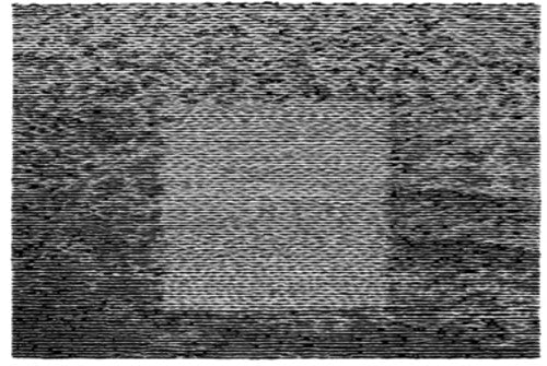 Grouper- Grid Of Points [LP] [ VINYL LP ]