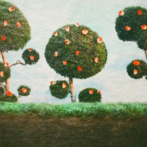 Midnight Sister- Painting the Roses [ VINYL LP ]
