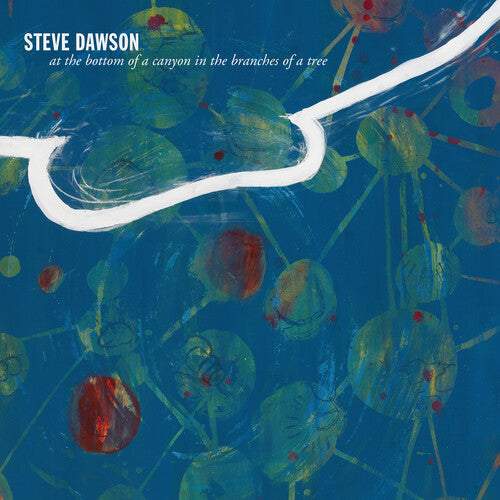 Steve Dawson- At The Bottom Of A Canyon In The Branches Of Tree [ VINYL LP ]