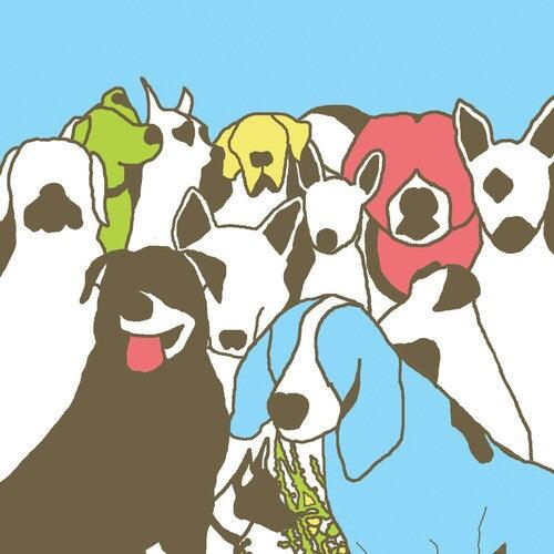 The Format- Dog Problems [ VINYL LP ]
