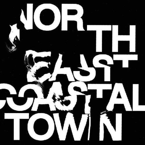 The Life- North East Coastal Town [ VINYL LP ]