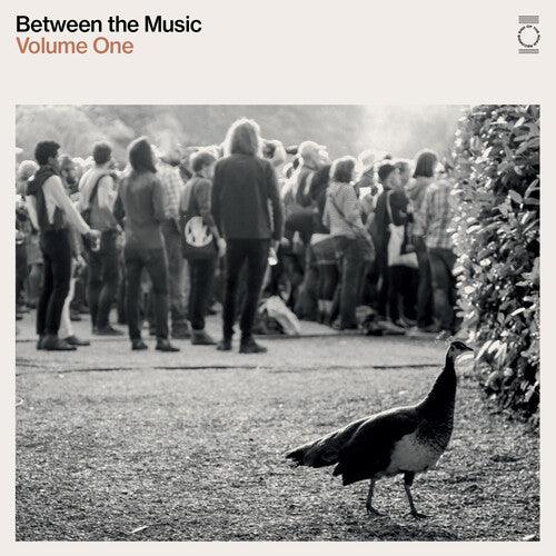 Various Artists- End Of The Road Presents: Between The Music / Var [ VINYL LP ]