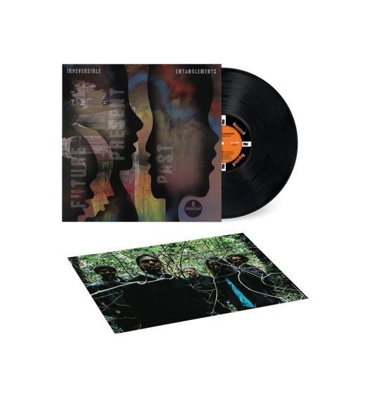 Irreversible Entanglements- Future Present Past [LP + Poster] [ VINYL LP ]