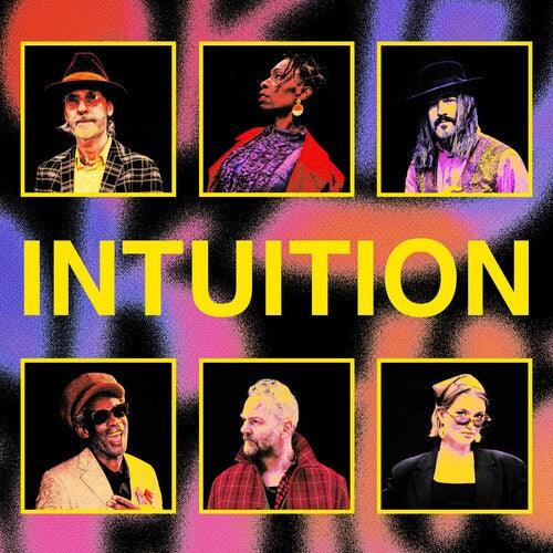 Brooklyn Funk Essentials- Intuition [ VINYL LP ]