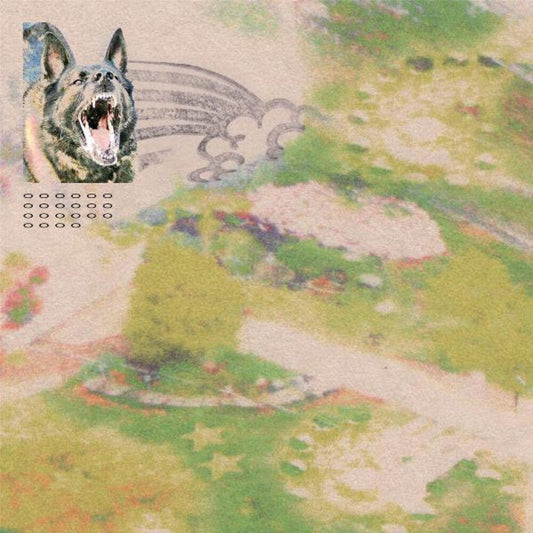 feeble little horse- Girl with Fish [Opaque Pink LP] [ VINYL LP ]