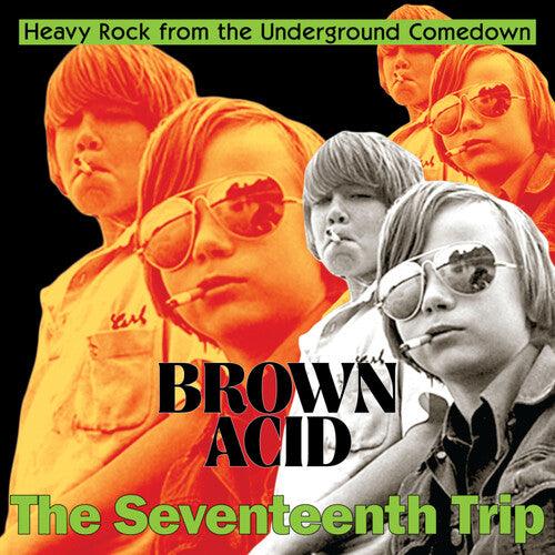 Various Artists- Brown Acid - The Seventeenth Trip (Various Artists) [ VINYL LP ]