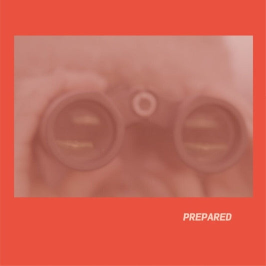 Laura Martin  J- Prepared - Rose Pink Vinyl (Uk) [ VINYL LP ]