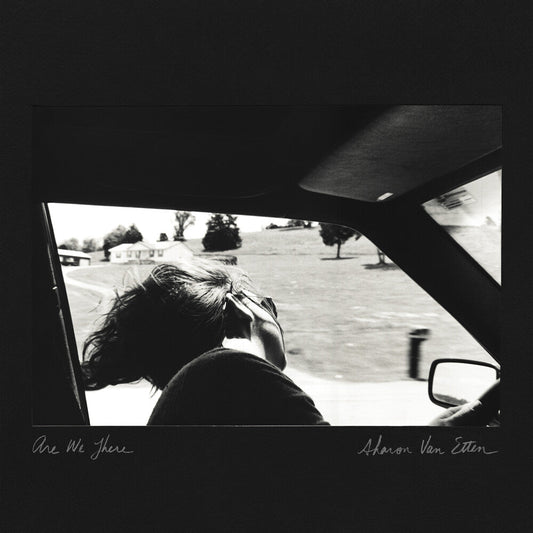 Sharon Van Etten- Are We There (10 Year Anniversary Edition) [Colored Vinyl] [ VINYL LP ]