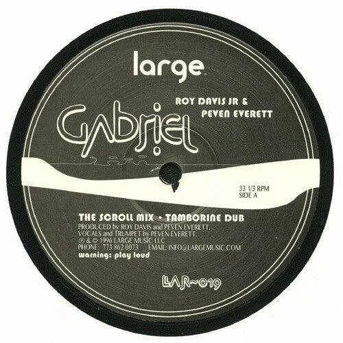 Roy Davis Jr- Gabriel [ VINYL LP ]
