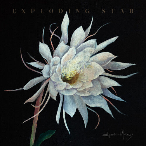 Heather Maloney- Exploding Star [ VINYL LP ]