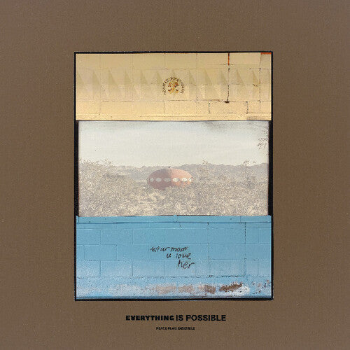 Peace Flag Ensemble- Everything Is Possible [ VINYL LP ]