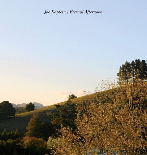Joe Kaptein- Eternal Afternoons [ VINYL LP ]