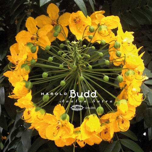 Harold Budd- Avalon Sutra [ VINYL LP ]