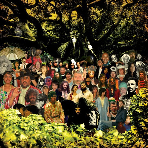 Devendra Banhart- Cripple Crow (20th Anniversary Deluxe) - Black/Green [ VINYL LP ]