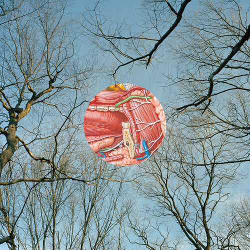 They Might Be Giants- Glean [ VINYL LP ]
