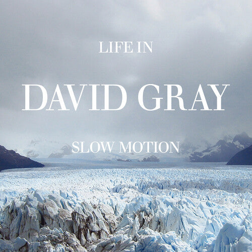 David Gray- Life in Slow Motion (20th Anniversary Edition) (Blue Vinyl) [ VINYL LP ]
