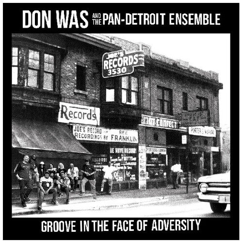 Don Was- Groove In The Face Of Adversity [ VINYL LP ]