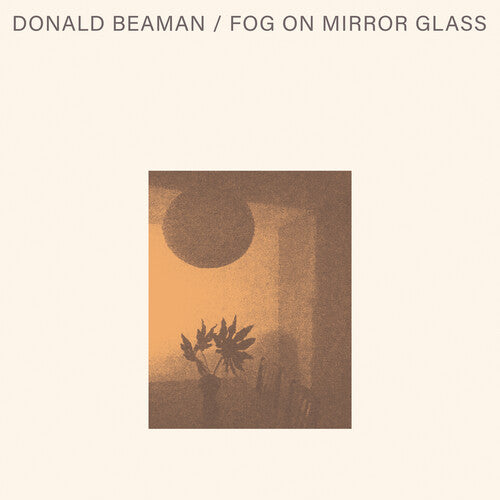 Donald Beaman- Fog On Mirror Glass [ VINYL LP ]