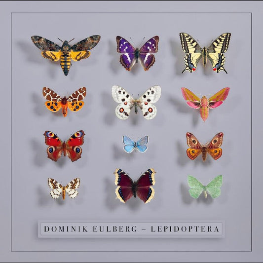 Dominik Eulberg- Lepidoptera (Uk) [ VINYL LP ]