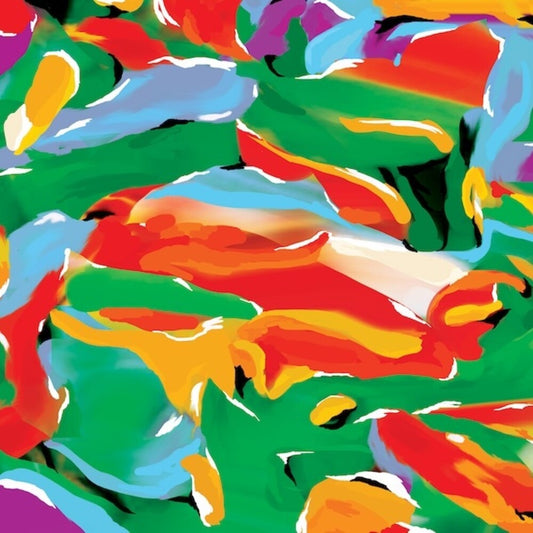 Auntie Flo- Birds Of Paradise [ VINYL LP ]