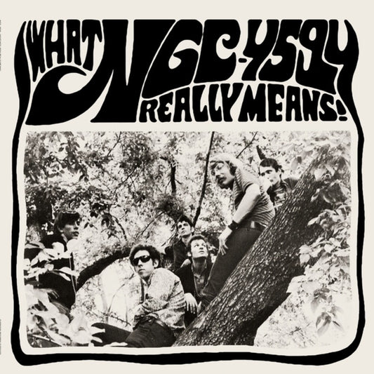 Ngc-4594- What Ngc-4594 Really Means [ VINYL LP ]