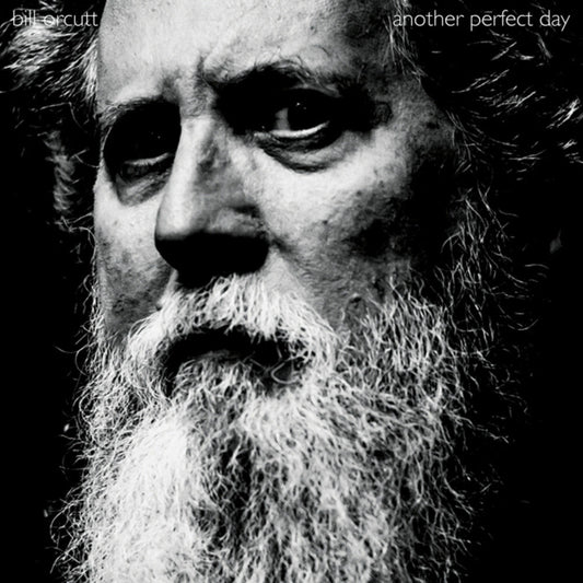 Bill Orcutt- Another Perfect Day [ VINYL LP ]