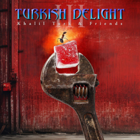 Turkish Delight Volume Three / Various- Turkish Delight Volume Three / Various [ VINYL LP ]