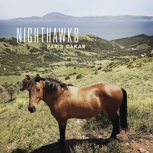 Nighthawks- Paris Dakar [ VINYL LP ]