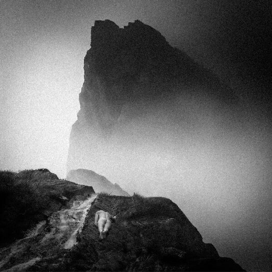 Mizmor / Hell- Alluvion [ VINYL LP ]