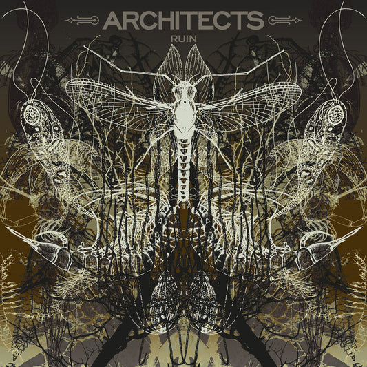 Architects- Ruin [Limited Edition] (Pict) [ VINYL LP ]