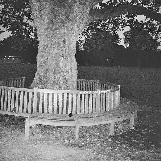 Marshall, Archy- A New Place 2 Drown (Instrumentals) [ VINYL LP ]