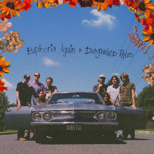 Euphoria Again & Dogwood Tales- Destination Heaven [ VINYL LP ]
