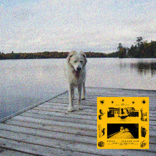 Jaguar Sun- Daisy (Blk) [Colored Vinyl] (Ylw) [ VINYL LP ]