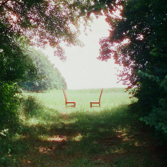 Ratboys- Singin' to an Empty Chair [Indie Exclusive Brown and Green Marbled] [ VINYL LP ]