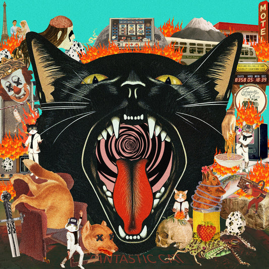 Fantastic Cat- Cat Out of Hell [ VINYL LP ]